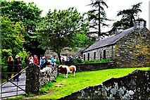 R4561 : Bunratty Folk Park - Site #17 - North Clare  Farmhouse & Miniature Horse by Suzanne Mischyshyn