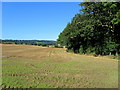 Field beside Heslett Wood