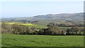 Hartrow and the Quantocks