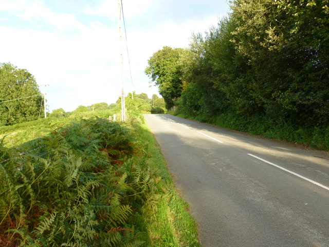 The road to Rhos-y-gwaliau