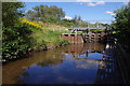 Lock 5, Ribble Link