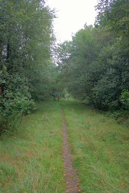 Forest Ride, Wykeham Forest © Mick Garratt :: Geograph Britain and Ireland