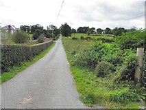 H7226 : Road at Shanmullagh by Kenneth  Allen