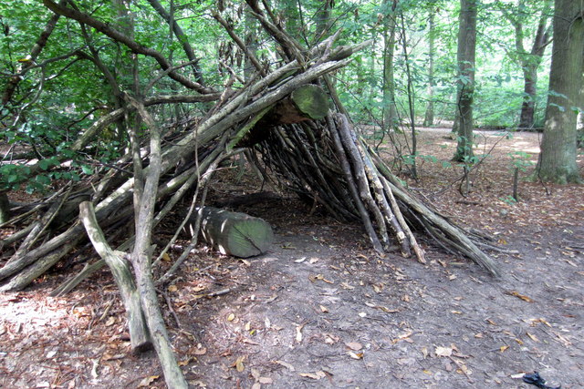 Makeshift shelter in the woods