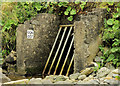 Drain, Portballintrae