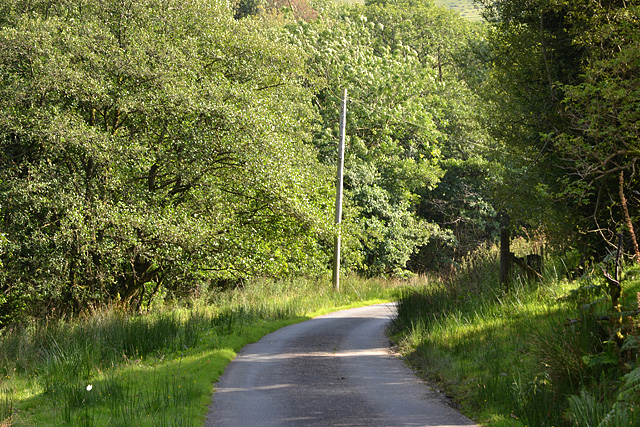 The road past Rhyd-y-meirch farm