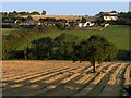 W6662 : Fields in autumn sunshine by Hywel Williams