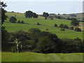 View of hillside fields near Woodthorpe Hall