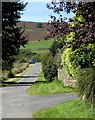 Moss Road above Totley