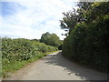 North Lane, near Lower Lidham Hill Farm