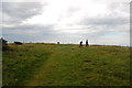 TQ3313 : The South Downs Way - trig point at Ditchling Beacon by Trevor Harris