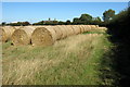 Straw bales by Brogborough Middle farm