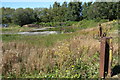 Wasteland with girders by the Bunyan Trail