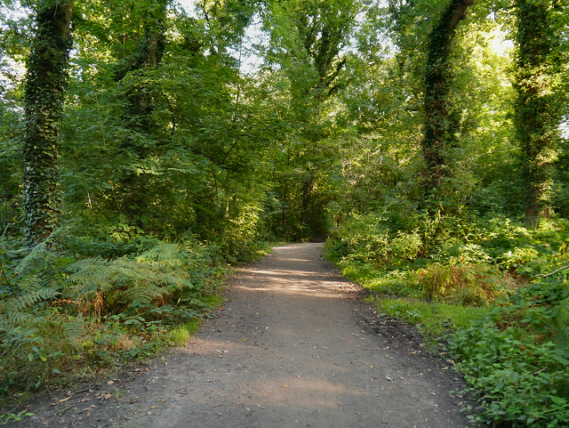 Path in Marbury Country Park