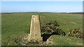 Brompton Ralph trig point