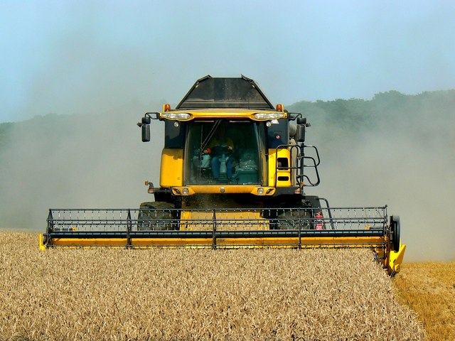 Wheat harvesting operations (4) west of Chisbury, Wiltshire