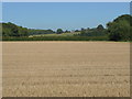 Stubble field, Newmarsh Farm