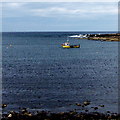 Q7249 : Loop Head Peninsula - St Ronan's Road - Fishing Boat in Atlantic NW of Moneen by Suzanne Mischyshyn