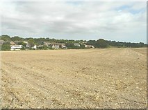 TR3346 : East Langdon across a field by John Baker