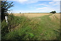 Bridleway towards Ashwood Farm