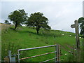 Sheep grazing on pasture land above Ty-draw