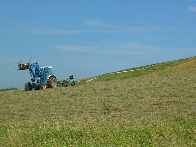 Haymaking on White Horse Hill