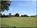 Playing Fields, Appley