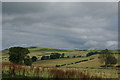 Landscape near the farms of Boghill & Dumbraxhill