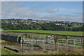 Livestock pens at Newhouse