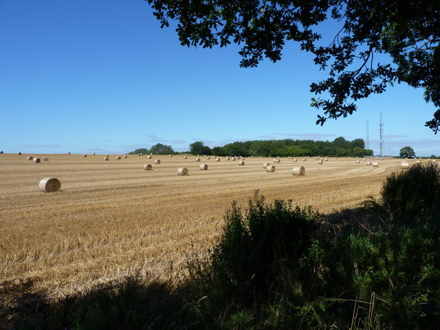 Straw bales and phone masts