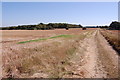 Farm Track off Shadoxhurst Road