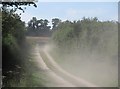 TL5852 : A dusty farm track in September by John Sutton
