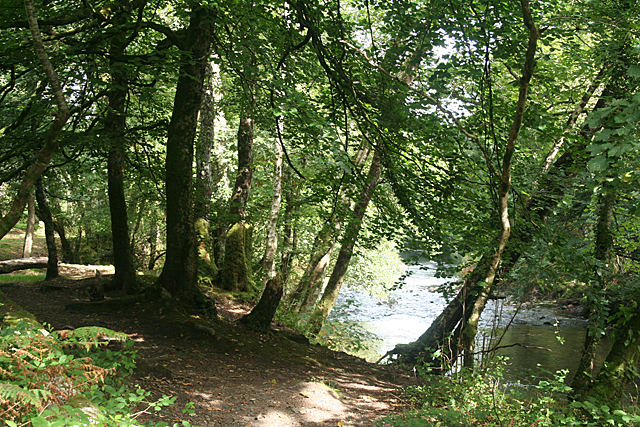 Widecombe in the Moor: river Dart