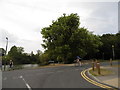 Mere Pond on Walton Street