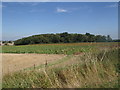 Fields around Brunk Wood