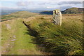 SH7266 : Standing stone beside the track by Philip Halling