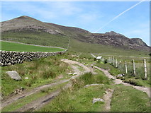 J3422 : The Carrick Little Track just beyond the mountain gate by Eric Jones