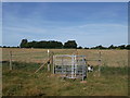 Kissing Gate on Starveacre Lane