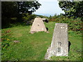 Trig point at the Buck Stone