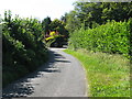 West along Snowdrop lane towards the Snowdrop Inn