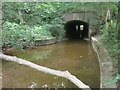 Culvert for Crimdon Beck under the A1086 embankment