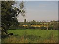 Meadow near Acton Trussell Bridge