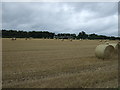 Farmland off Yatts Road