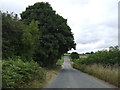 Yatts Road towards Newton-on-Rawcliffe