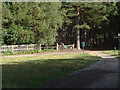 The Look Out, Bracknell Forest