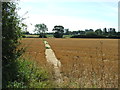 Clear Footpath