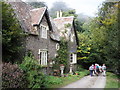 Cottage, in Glenthorne Plantation