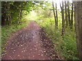 Dalzell Park path