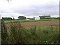 Carrot harvesting, Springhill Farm