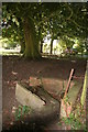 Cattle Trough and spring in Louth Park